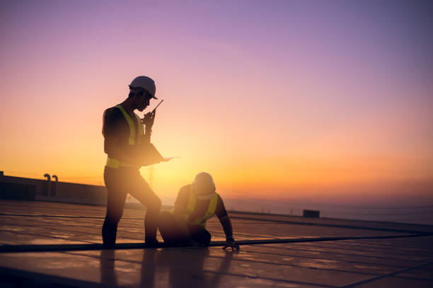 Best Flat Roof Repair Services  in Park Forest, IL