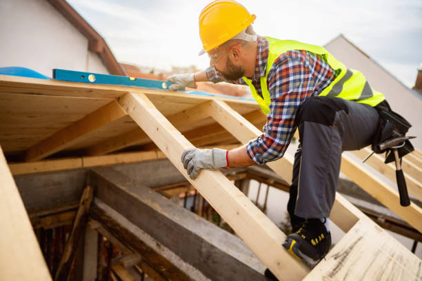 Roof Gutter Cleaning in Park Forest, IL