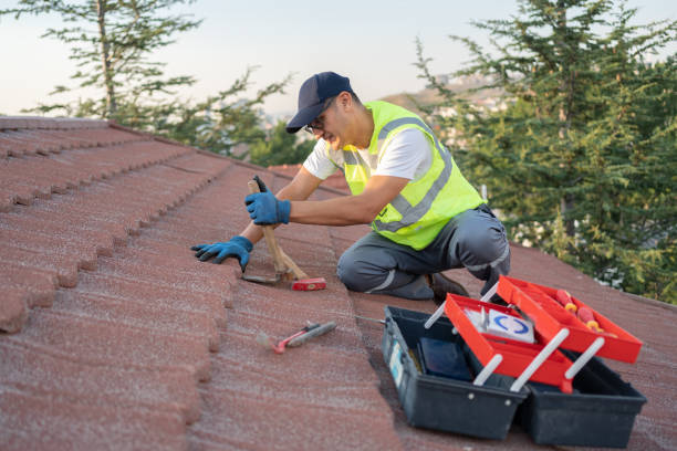 Quick and Trustworthy Emergency Roof Repair Services in Park Forest, IL