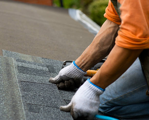 Best Best Roofing Contractors  in Park Forest, IL