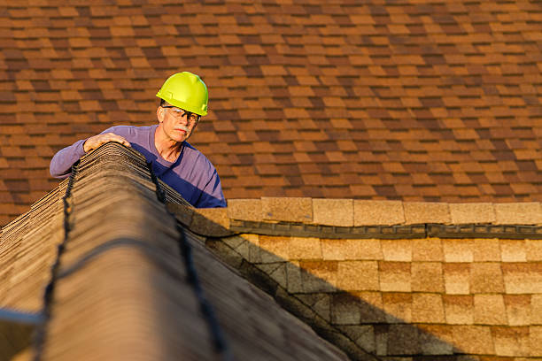 Best Commercial Roofing Services  in Park Forest, IL