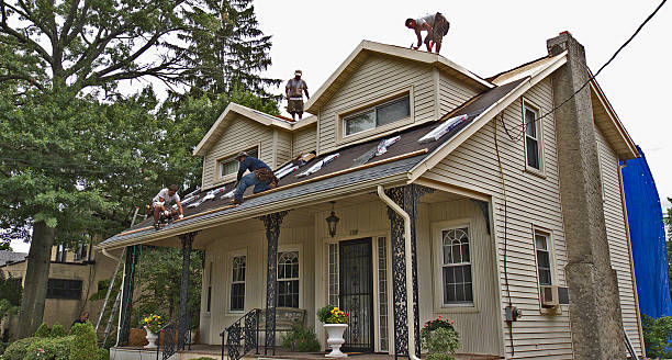Best Best Roofing Contractors  in Park Forest, IL