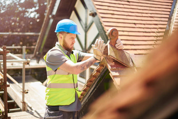 Best Residential Roofing Contractor  in Park Forest, IL